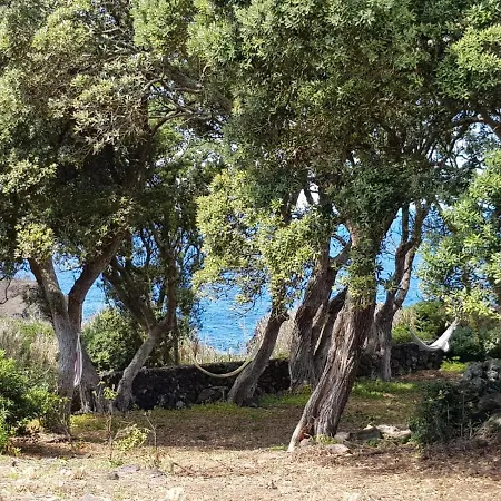 Nyaraló Quinta Da Falesia - Casa Branca *