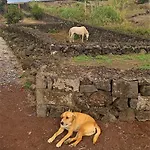 Quinta Da Falesia - Casa Branca * Ponta Delgada (Sao Miguel)