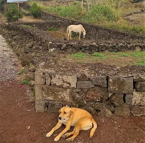 Quinta Da Falesia - Casa Branca * Ponta Delgada