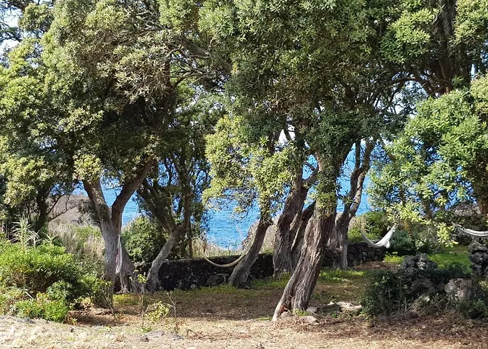 Ferienhaus Quinta Da Falesia - Casa Branca *