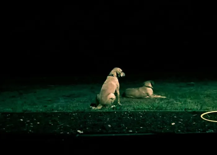 Quinta Da Falesia - Casa Branca * Ponta Delgada