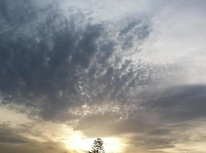 Ferienhaus Quinta Da Falesia - Casa Branca *